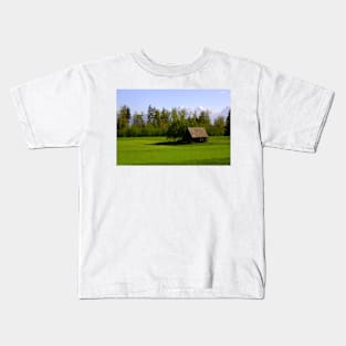 The cottage in the Alps Kids T-Shirt